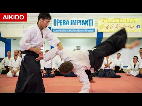 Aikido - Moves softly and throws dynamically in Italy