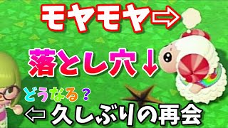 モヤ＆久しぶりの再会の時に落とし穴に落ちたらヤバかった！！！【あつまれどうぶつの森】【おとしあな】【ちゃちゃまる日記】