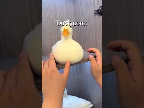 Duck core🤣He put the feather on his head😅 #living_life #animals #viralvideo #funny #Shorts #Duck
