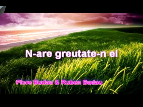 Fratii Budau vol.2 - Omul fara de cuvant