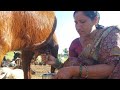 Viral Milk Making Vlog