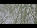 "Dragonflies" by Devendra Banhart - gentle eyelid exercise.