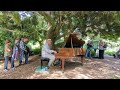 Flower Piano 2023 - Eric Shifrin
