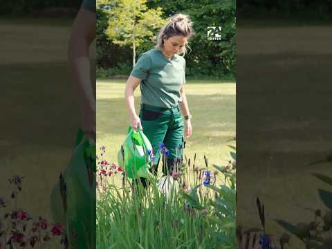 Den Garten im Sommer richtig bewässern | 24Garten