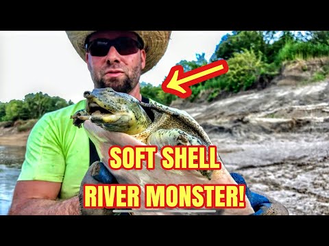 Fishing river MONSTERS! (Soft shell turtle!) HD|