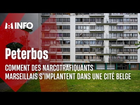 Comment des narcotrafiquants marseillais ont pris le pouvoir dans la cité belge de Peterbos