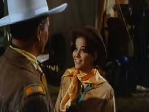 El fabuloso mundo del circo