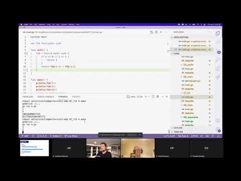 Walter Schulze: Goderive, deriving functions and generating Go code - Go Cape Town