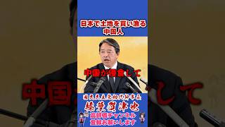 外国人の土地購入規制について #榛葉賀津也 #榛葉幹事長 #国民民主党 #shorts