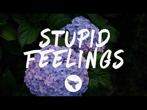 220 Kid x LANY - Stupid Feelings (Lyrics)