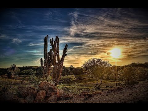 Beto Pereira - Andarilho solitário