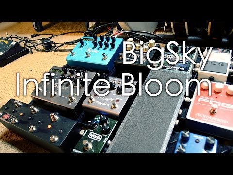 Strymon BigSky Infinite Bloom Reverb + Flint and El Capistan
