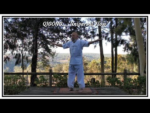 QIGONG  'Universal Flow'  Practice Video