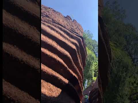 Zhangjiajie Xiangxi Tujia e Prefeitura Autônoma de Miao Condado de Guzhang