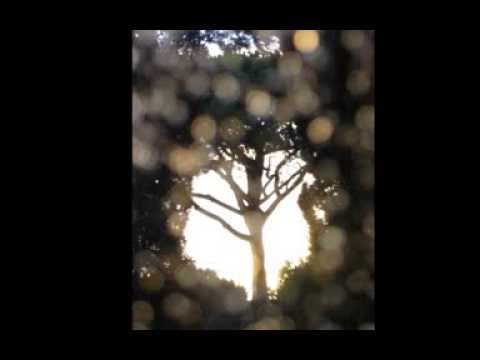 Translucence (excerpt)