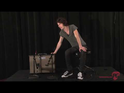 Champions of Chime Carr Artemus