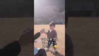 公園でテクテク🦶 #赤ちゃん #赤ちゃんのいる生活 #1歳児 #クォーター #クォーターベビー #三兄弟 #末っ子 #公園 #お弁当 #shorts