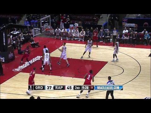 Jordan Crawford NBA D-League Highlights: January 2017