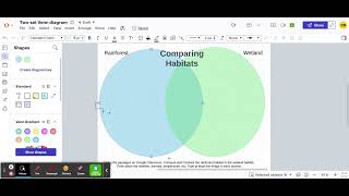 Two-set Venn diagram: Lucidchart