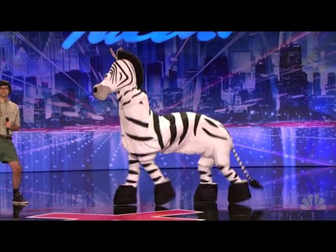 Dope Zebra on America's got Talent