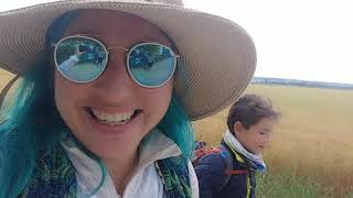 Day 16: Itero de la Vega to Fromista the fall of the phone