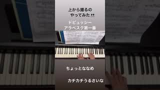 Download lagu 15秒 アラベスク第一番/ドビュッシー/Arabesque No.1/Debussy @shingohattori mp3 Download lagu 15秒 アラベスク第一番/ドビュッシー/Arabesque No.1/Debussy @shingohattori mp3