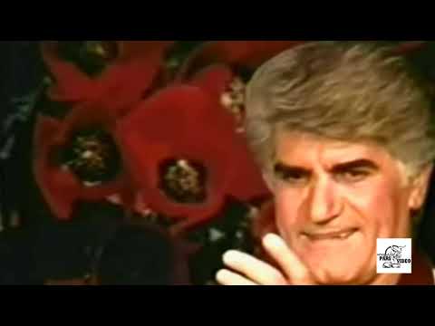 Viguen - Dele Ghafel (Official Video) | ویگن - دل غافل