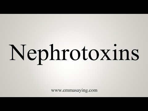 How To Say Nephrotoxins
