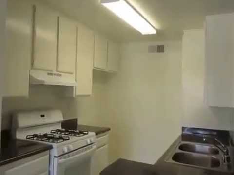 PL5338 - Newly Remodeled 2 Bed + 2 Bath Apartment for Rent! (Reseda, CA)