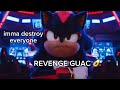 Shadow The Hedgehog Being Both Bada And Cute At The Same Time