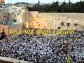 Etz Chaim - TalAm 4 Memphis