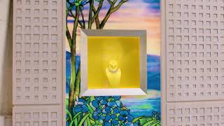 Miniature de la vidéo