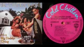 BIG DADDY KANE - It's a Big Daddy Thing - 1989 (Full LP)