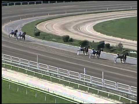 Trotto 18/09/2014 - 2° prova di qualifica