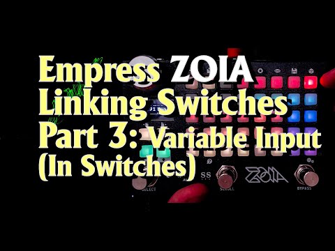 Zoia Tutorial: Linking Switches #3 - Empress Effects Zoia