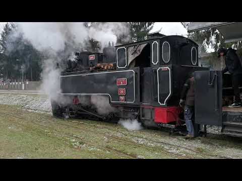 Mocanita Brad-Criscior