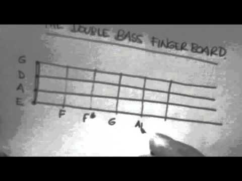 Learn Bluegrass Bass - The Notes on the Fingerboard