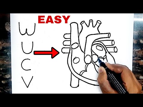 "WUCV" turns into Human Heart Diagram Drawing // Science Class 10
