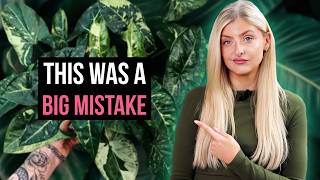 Plants I Stopped Buying (and What I Buy Instead)