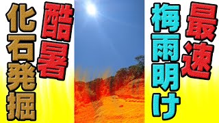 【梅雨明け】猛暑の化石発掘【アンモナイトセンター】