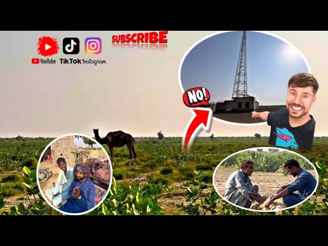 Rohi mai subha ka khobsurat manzar | vlog | cholistan | rohi | #villagelife #vlog #cholistan