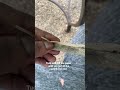 How To Roll A Joint In Only 1 Minute Like And Follow For More Content