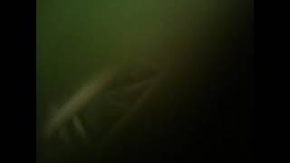 Oh I found the iPhone 3GS and GOT STABBED BY A THORN (2nd time stabbed)