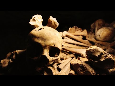 BEST MUSIC 2022 [AVR YNG MAGA - METAVERSE]