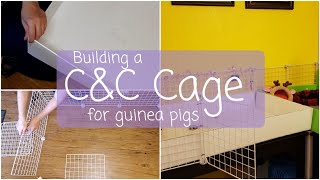 How to Build C&C Cage for Guinea Pigs | DIY Tutorial