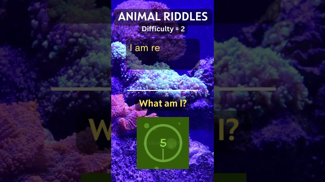 Animal Riddles 56! Can You guess the Answer? (Difficulty = 2)