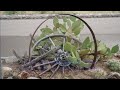 El Paso - Don McLean: with Lyrics(가사번역) || El Paso, Texas on Aug. 3, 2007