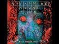 Heavy As A Really Heavy Thing Strapping Young Lad Full Album