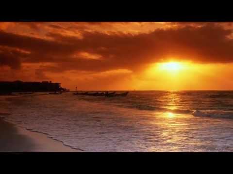 The Unique Matter - Sunset Beach (Original Mix)