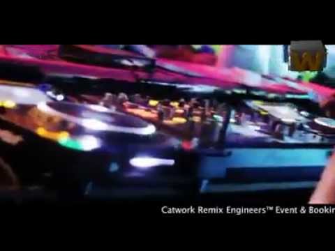 Catwork Remix Engineers Ft.Nicki Minaj - Starships (2013)